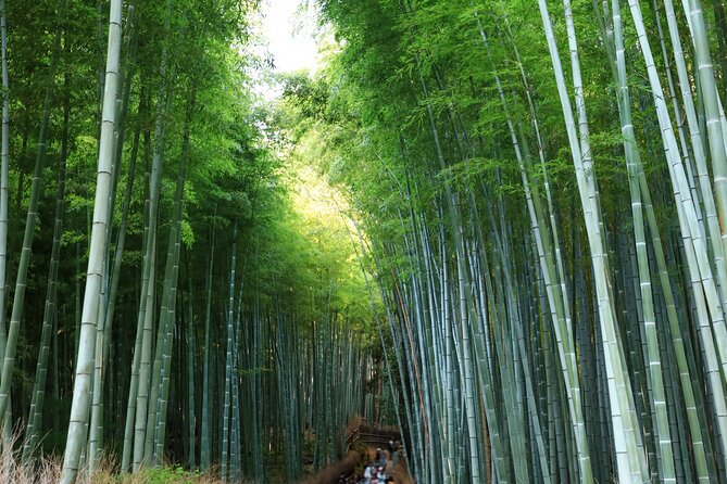 From Osaka: Kyoto Must-see Spots & Nara Park Sightseeing Day Tour - Exploring Kyotos Must-See Spots