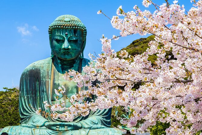 From Tokyo Kamakura, Hachimangu Shrine and Enoshima Full Day Tour - Communication and Contact Details