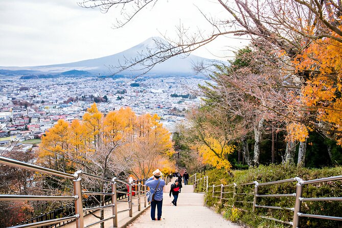 From Tokyo: Mt Fuji and Hakone Private Day Trip - Capturing Unforgettable Moments