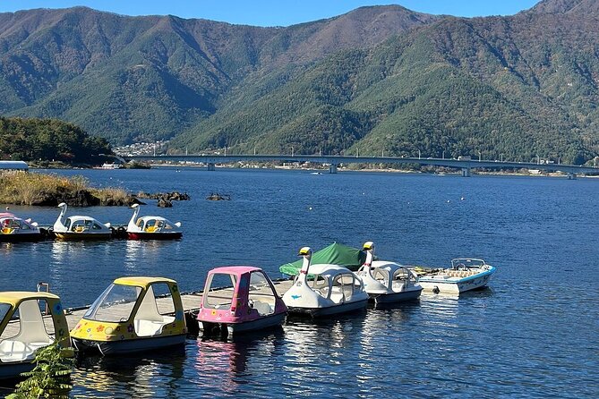 From Tokyo-Mt Fuji PVT 1 Day Customized Tour With English Driver - Highlights of the Tour