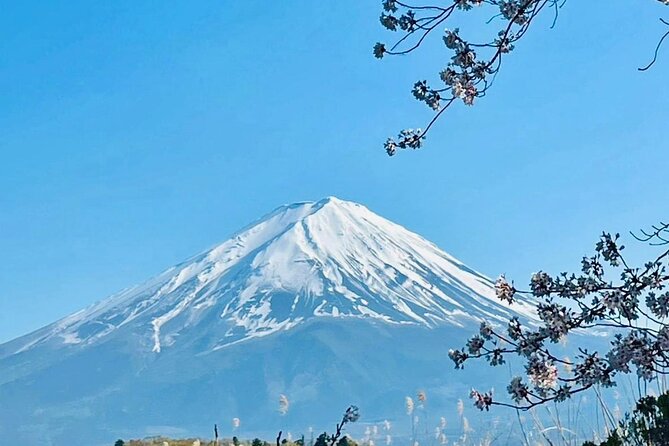 Fuji Hakone Cherry Blossom Private Tour - Visiting Mount Fuji