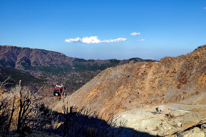 Guided Mt. Fuji & Hakone Tour Bullet Train Return GREEN NUMBER - Booking and Cancellation Policy