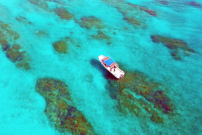 Half Day Amami Japan Boat Snorkeling Adventure - What to Bring and Wear