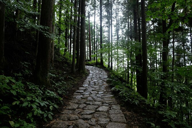 Hiking the Historic Nakasendo Trail- 1 Day Tour From Nagoya - Preparing for the Tour
