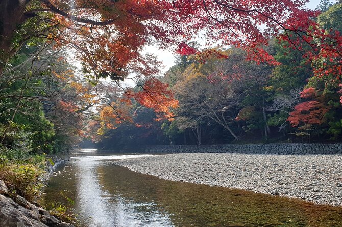 Ise Jingu Half Day Private Tour - Feedback and Recommendations