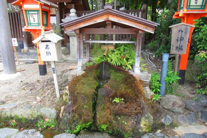 [Japan Wellness] A Tour of Four Springs, Tofu Lunch, and Matcha - Indulging in Tofu and Obanzai Cuisine