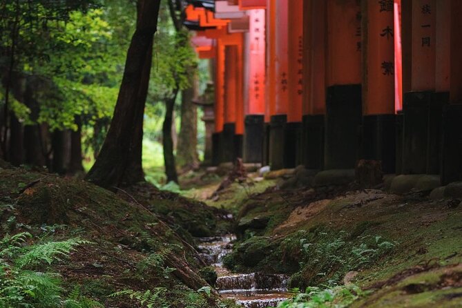 Kyoto and Nara Day Tour From Osaka and Kyoto - Traveler Feedback and Recommendations
