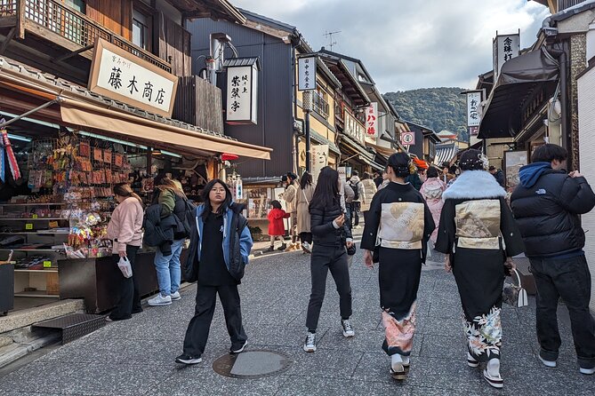 Kyoto Highlights Full Day Private Guided Tour From Tokyo - Tour Inclusions and Exclusions