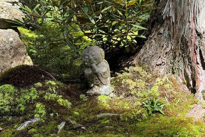 Kyoto: Tranquil Escape to Ohara Satoyama and Sanzen-in Temple - Practical Information
