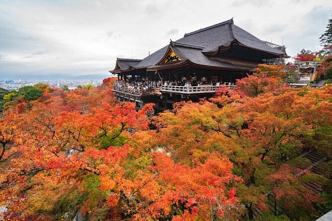 Kyoto & Uji: Full Day Sightseeing Tour From Osaka or Kyoto - Taking in Ujis Serenity