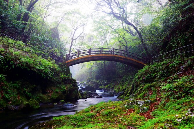 Kyushu Day Trip Miyazaki Takachiho Gorge and Shrine From Fukuoka - Important Itinerary and Logistical Notes