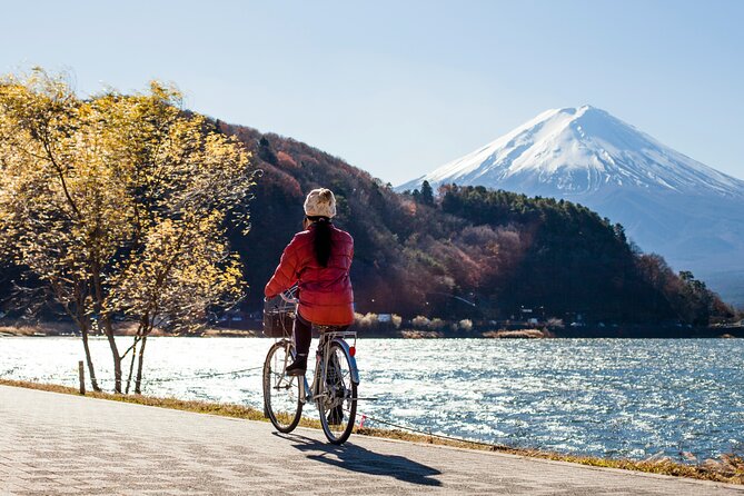 Majestic Mount Fuji: Exclusive Private Day Tour - Insider Tips for an Unforgettable Experience