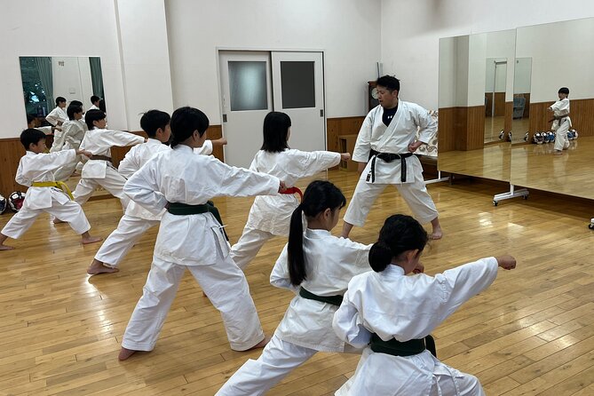 Master the Art of Karate Dynamics - Developing Proper Stances and Footwork