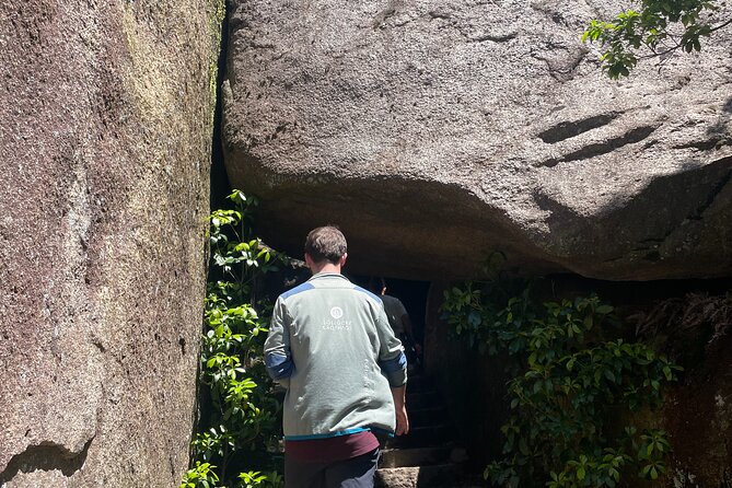 Miyajima Half-Day Private Experience With a Local - Feedback From Previous Guests