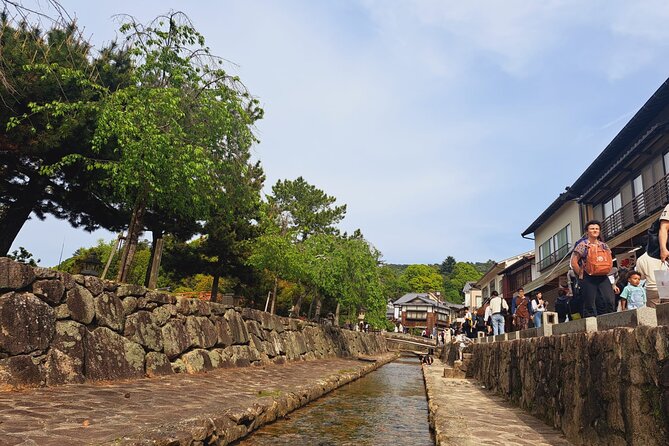 Miyajima UNESCO World Heritage Site Private Tour - Reviewing the Tour Highlights