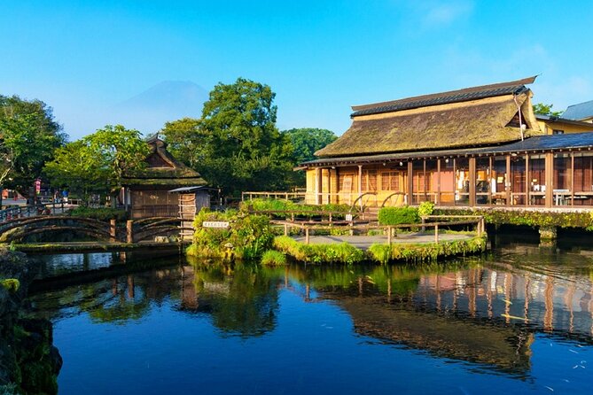 Mount Fuji Day Trip From Tokyo With Scenic Views - Health and Accessibility Information