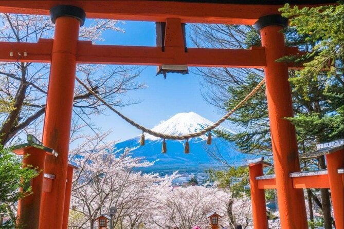 Mt. Fuji and Lake Kawaguchi Scenic 1-Day Bus Tour From Tokyo - Traveler Feedback and Ratings