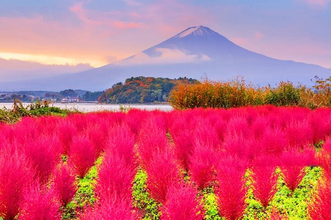 Mt Fuji Exploration Tour With Free Japanese Kusa Mochi From Tokyo - About the Japanese Kusa Mochi