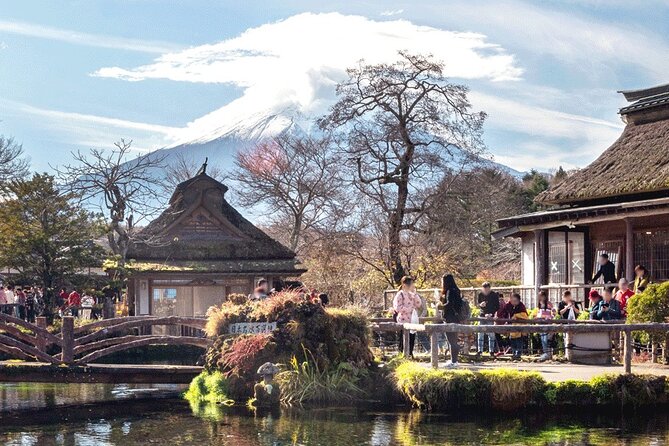 Mt. Fuji Tour in Lake Kawaguchi and Oshino Hakkai - Travel Conditions