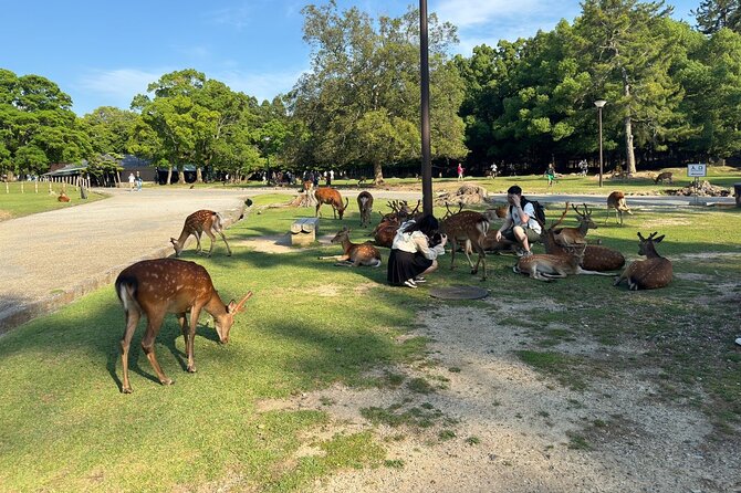 One Day Private Tour in Kyoto and Nara From Osaka - Cancellation and Confirmation