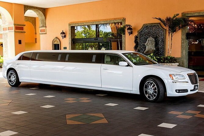 Osaka Limousine Photoshoot & Party Tour - Limousine Features