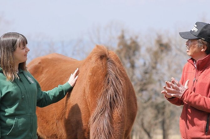 Pasture Hike With Horse Whisperer at Horse Trust in Kagoshima - Reviews and Feedback