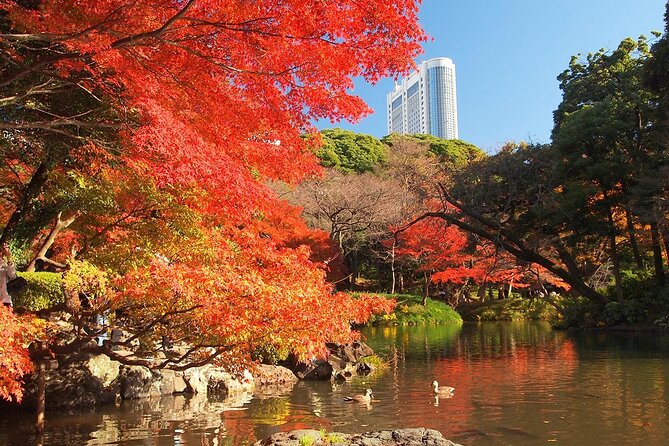 Private Audio Guided Walking Tour in Tokyo - What to Expect on the Tour