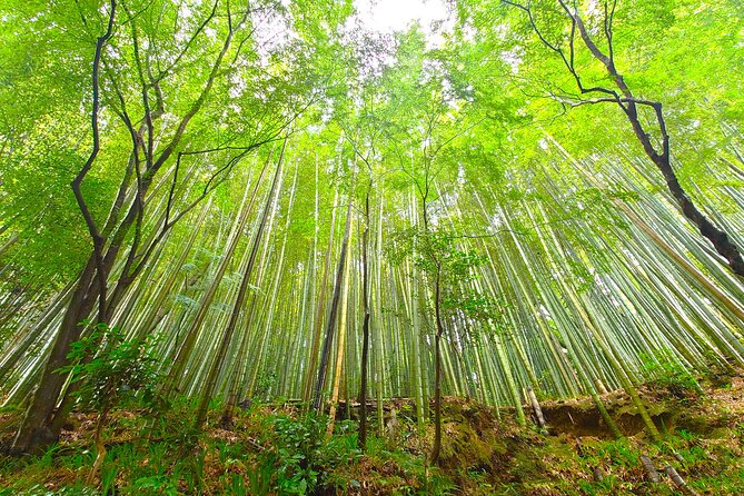 Private Exclusive Kyoto Slow Cycling Tour With Brompton - Reviews and Ratings