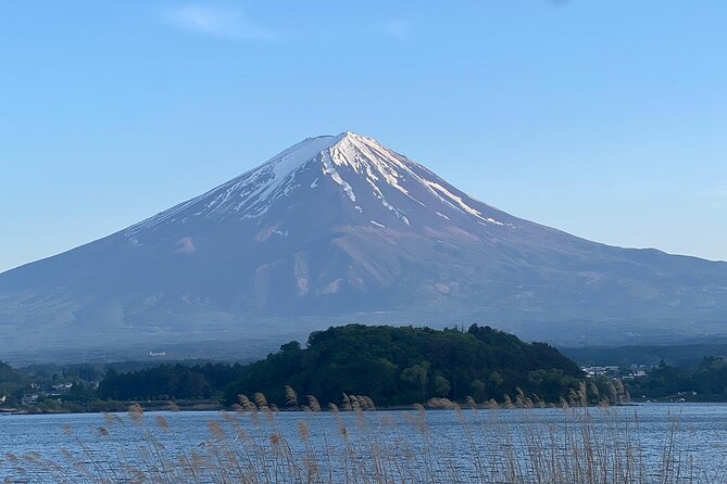 Private Guided Tour at Mount Fuji Majesty - Discovering Saiko Iyashi No Sato Nemba