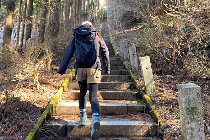 Private Hiking Tour to View Mt. Fuji - Tour Difficulty and Fitness Level