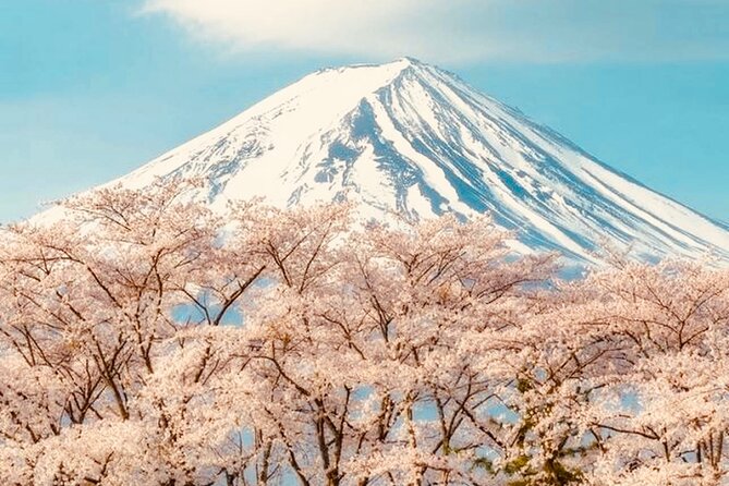 Private Sightseeing to Mt Fuji and Hakone With English Driver - Additional Information and Recommendations