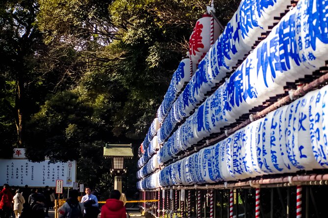 Private Tokyo Tour With Local Guide - Accessibility and Special Considerations