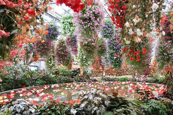 Sakura Magic and Nabana No Sato Day Tour From Osaka - Discover the Magic of Nabana No Sato