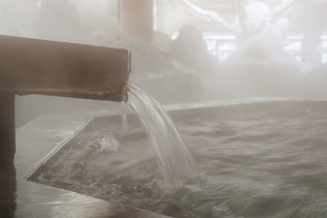 Sapporo Private Sightseeing Tour in Onsen With Special Package - Traveler Requirements and Reviews