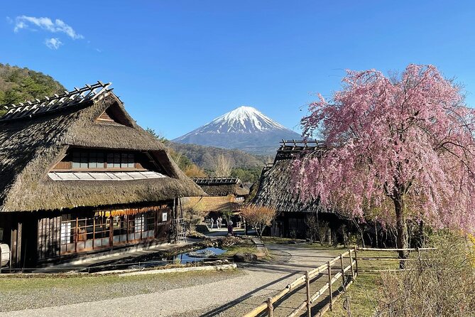 Scenic Spots of Mount Fuji Full Day Sightseeing Tour From Tokyo - Making the Most of Your Mount Fuji Adventure