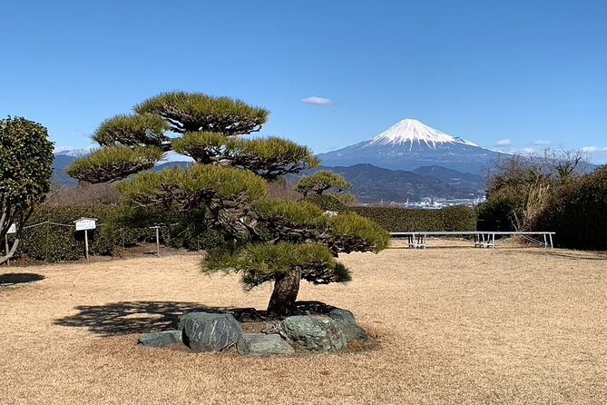 Step- Free Easy Going Tour From Shimizu Port / Sedan Taxi - What to Expect During the Tour