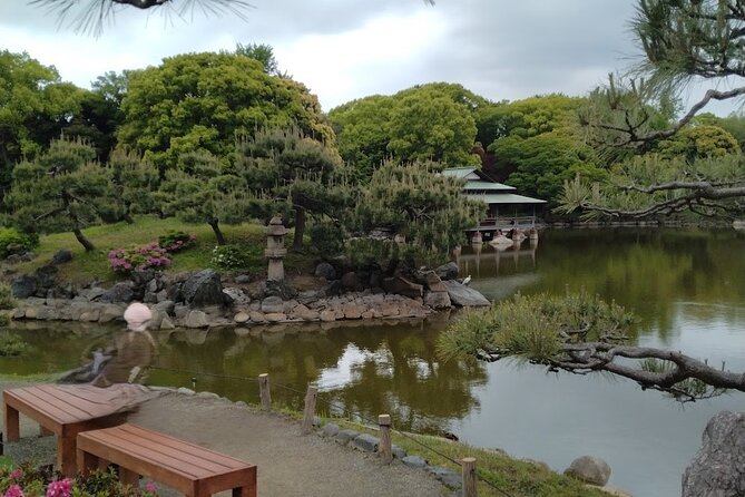 Sumo Practice Watching and Japan's Beautiful Culture and History - Reflections on the Unforgettable Sumo Practice Watching Tour
