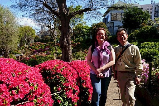Tokyo 6hr Private Tour With Licensed Guide (Max 15 Persons) - Highlights and Reviews