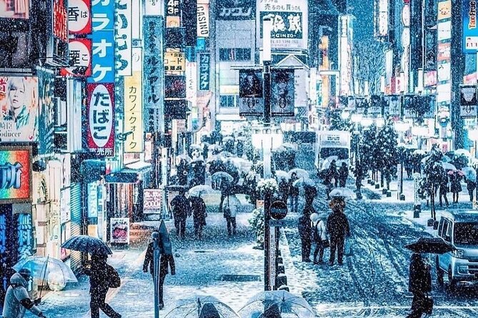 Tokyo Customizable Private Tour With English Speaking Driver - Highlights of the Tour