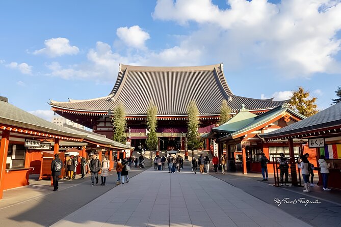 Tokyo: Exclusive City Highlights Tour With Eng Speaking Driver - Customize Your Itinerary