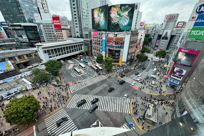 Tokyo Famous Spot Day Tour by Exclusive Car - Booking Information