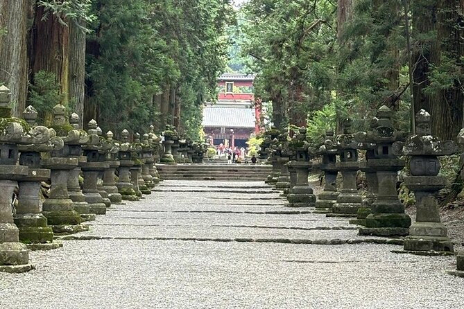 Tokyo Nagano Snow Monkey Park and Zenkoji Temple With Guide - Customer Reviews and Ratings
