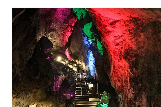 Tokyo Okutama Day Trip Tour - Tour Experience