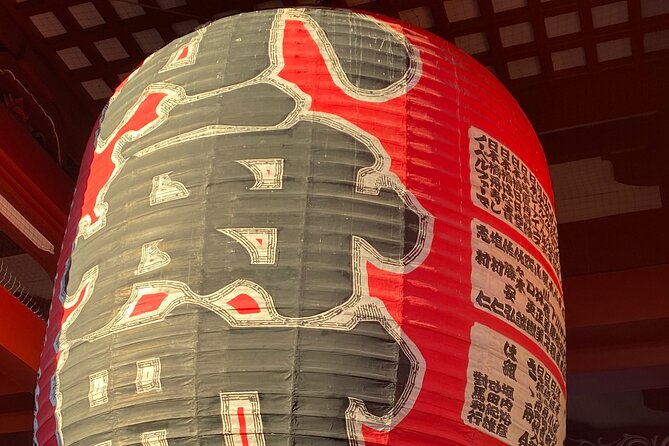 Tokyo Private Custom Day Tour With English Speaking Chauffeur - Accessibility and Requirements