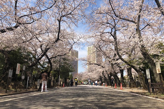 Tokyo Spring Daytime (Cherry Blossom) Food Tour - Additional Information