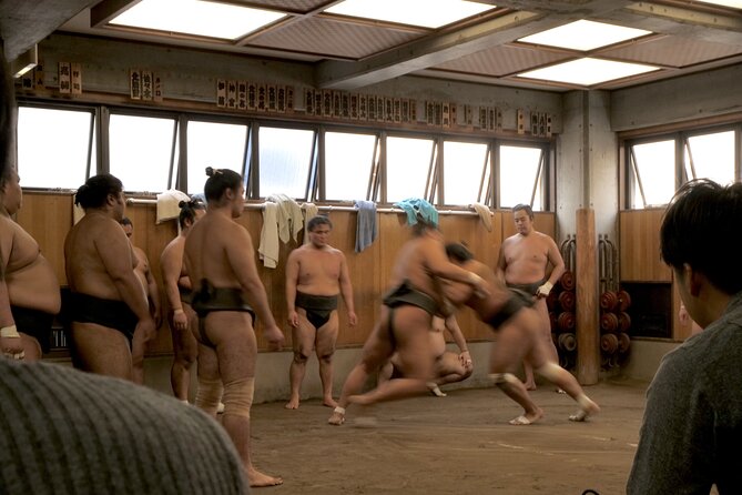 Tokyo Sumo Morning Practice Tour W/ Ring-Side Seat + Photo Shoot - Taking in the Sumo Culture