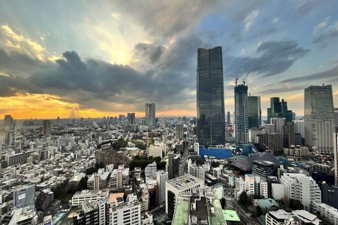 Tokyo Walking Tour : Sumo, Sushi, Tea, Temples and Tokyo Tower - Tour Inclusions and Accessibility