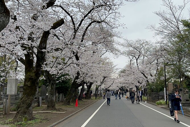 Yanaka and Nezu : Tokyo Old Traditional Town Cultural Experience - Visiting the Tranquil Nezu Shrine
