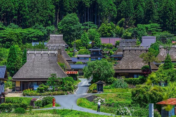 Amanohashidate, Ine Funaya & Miyam Village 1-Day Tour From Osaka - Cancellation and Reviews