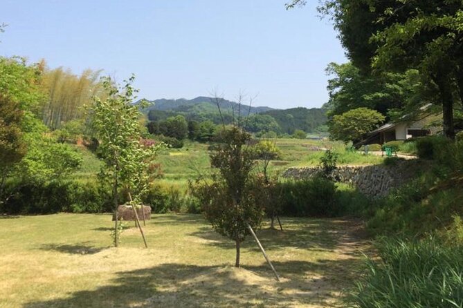Asuka Private Full-Day Guided Tour From Kashihara - Navigating Transportation and Logistics